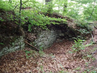 Ruines du château fort Plankenberk source: Monika Braunerová, auteur: Filip Procházka, l‘année: 2010